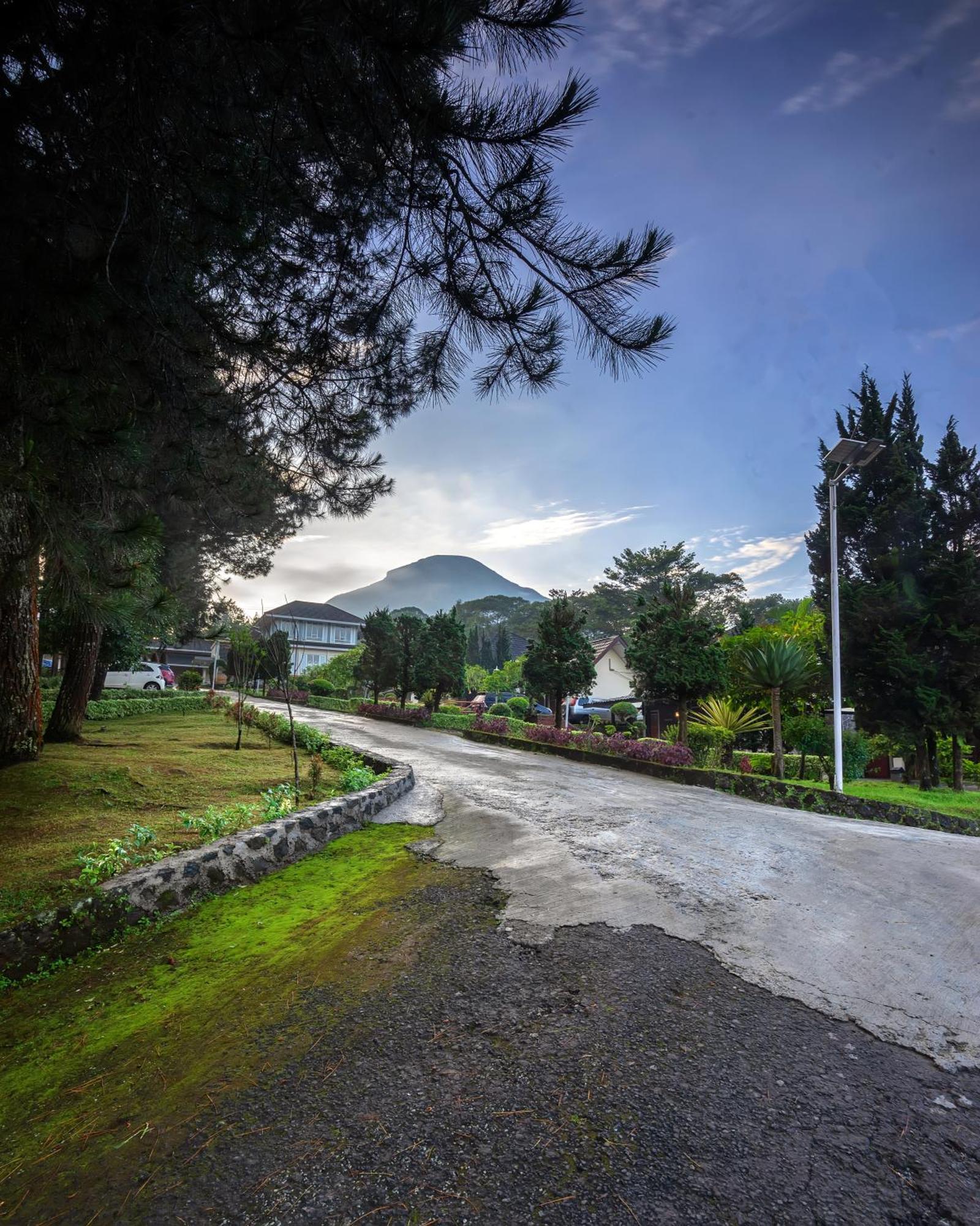 Tambi Tea Resort Kejajar Exterior photo